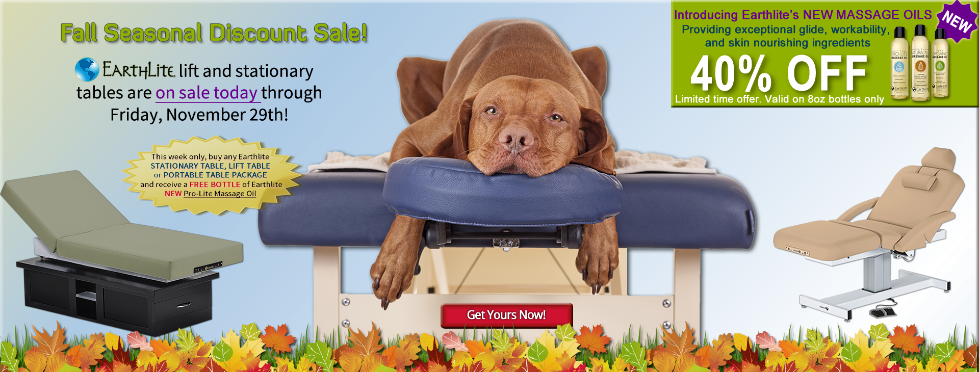 Dog Days of Summer Massage Tables Sale Image