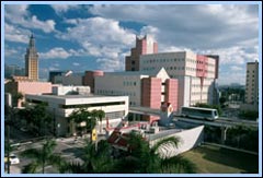 Miami Dade College